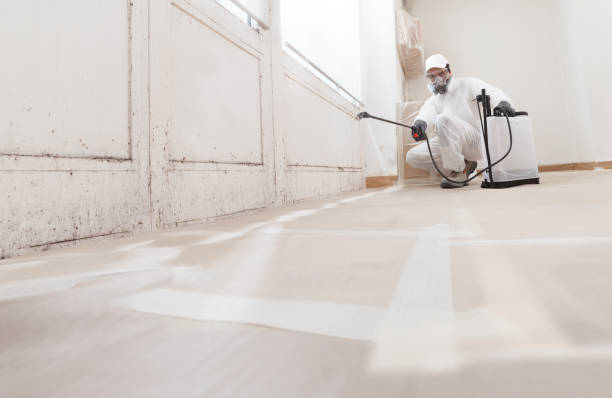 Trusted Mold Inspection service in Hamilton, GA - WQB Mold Removal